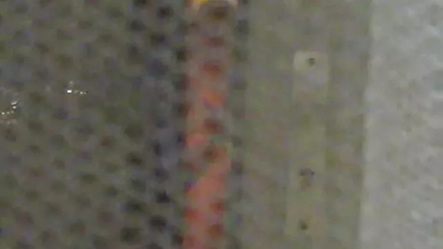 Hete porno Geen registratie  Blonde sportieve gayseksfilm zuigende zwarte coach in de sportschool