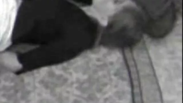 Hete porno Geen registratie  Twee moeders neuken een jonge seksfilm lesbisch man op het bed.